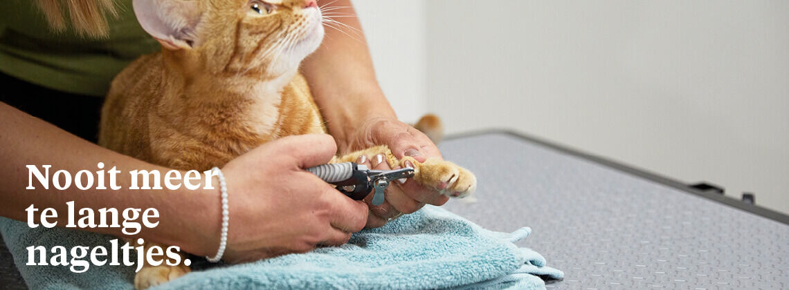 Nagelknipservice voor jouw kat - € 6.95